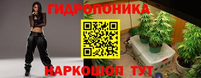 гидра Моздок