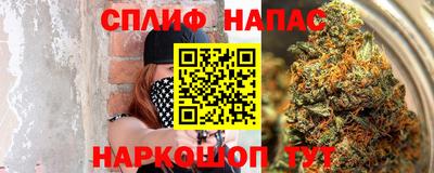 гидра Моздок