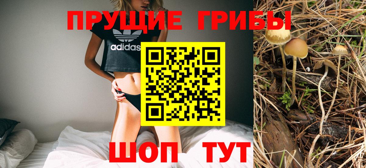 Галлюциногенные грибы GOLDEN TEACHER Ставрополь