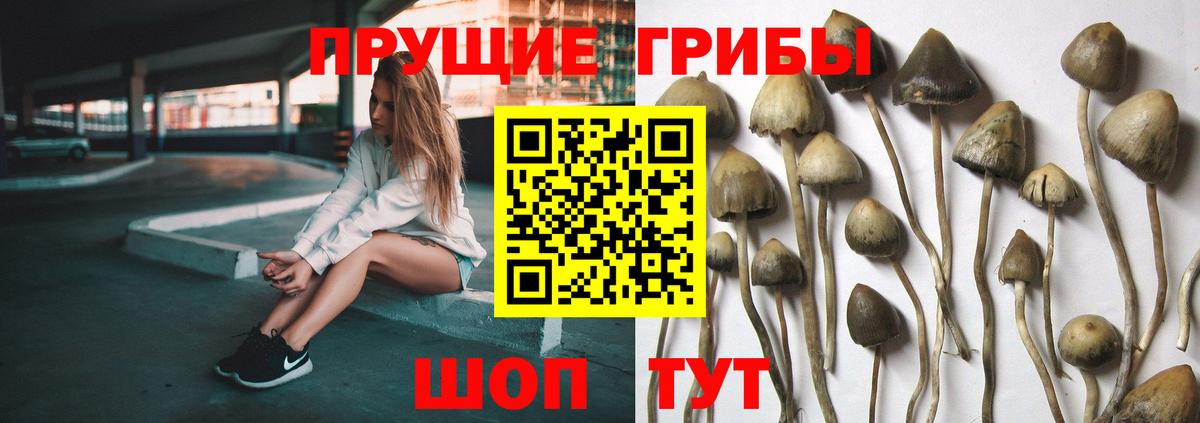 Галлюциногенные грибы MAGIC MUSHROOMS  Вход с VPN  Галлюциногенные грибы ЛСД  Ставрополь 